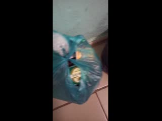 Vid 20201112 232657 mp4