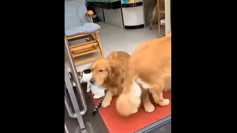 Уходите и друга своего заберите
