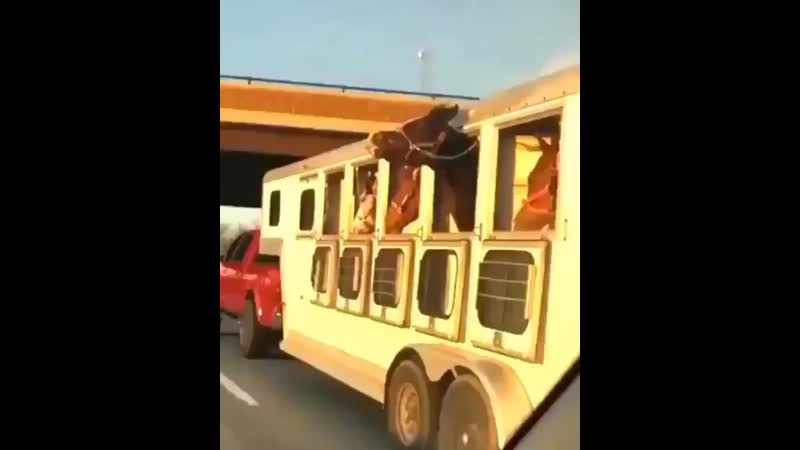 Утренний бодряк