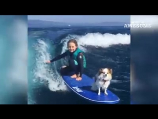 Это видео по настоящему заряжает!