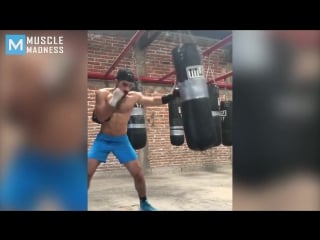 Next level boxing training chuy almada muscle madness