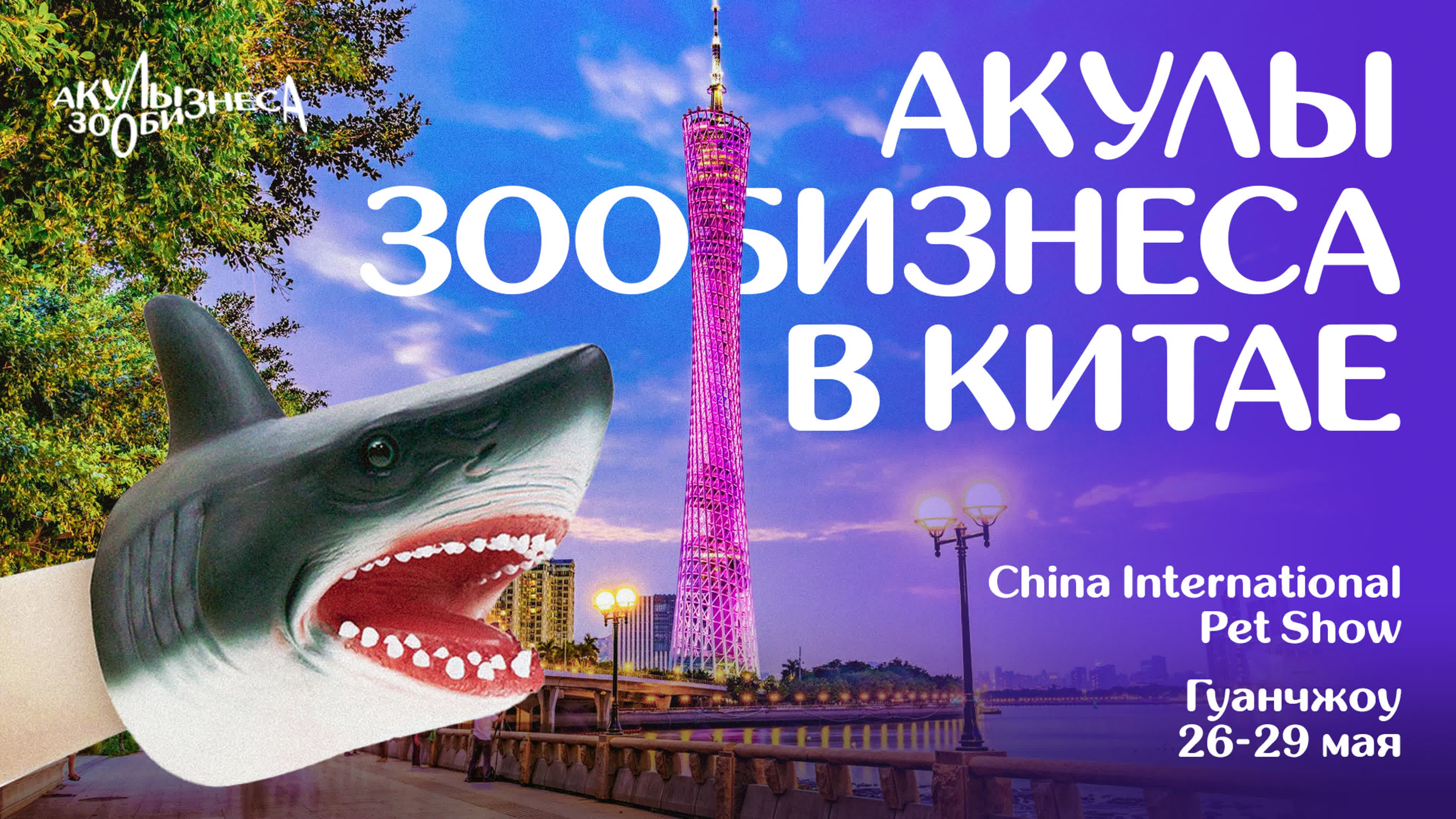 Акулы зообизнеса в китае! china international pet show зоовыстаа в гуанчжоу