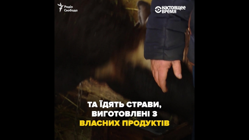 Как живут сионисты история доброслава