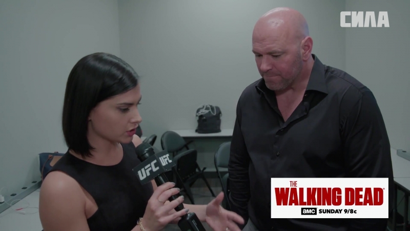 Ufc 229 dana white event recap