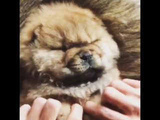 161019 lay instagram update