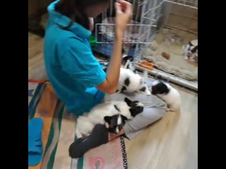 20201022 135027 trim mp4