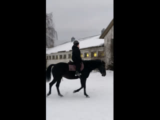 Тренироа на заре