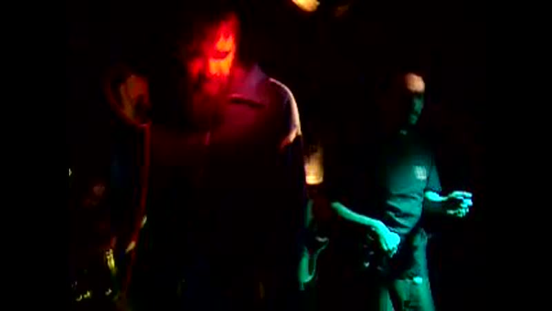 Пойманные муравьеды анжелина джоли обожает sm