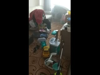 Vid 20190330 113610 mp4