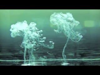 Поведение капель чернила в воде