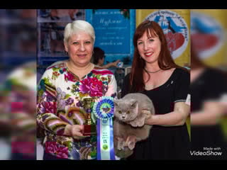 С днём рождения, саша! 🌹питомник британских кошек plush blue ray 05 03 2021