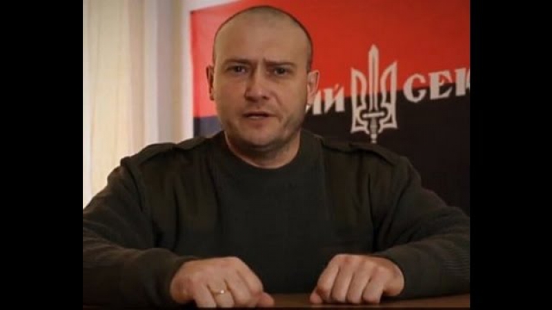 Дмитрий ярош правда на картах таро