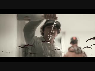 Shoreline mafia molly water