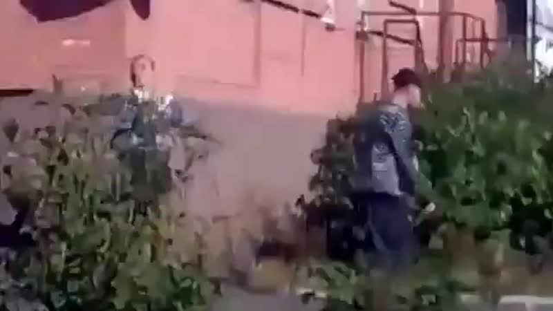 Свиной леденец