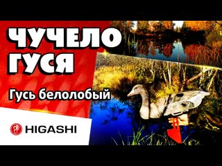 #охота чучело для охоты гусь белолобый 3 d объем | nra fud | выдерживает заряд дроби