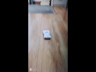 Big firebird toys ex 01 nicee (arcee)