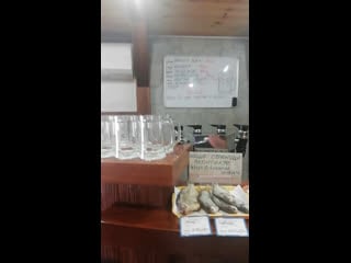 Live пенный дворик