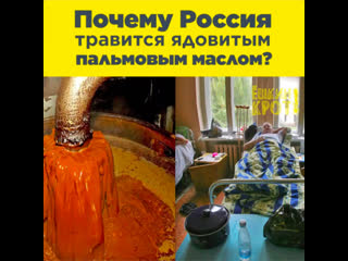 Кто травит россию пальмовым маслом?