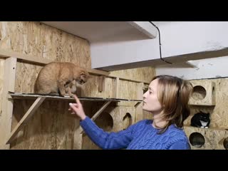 Кассандра и бафи