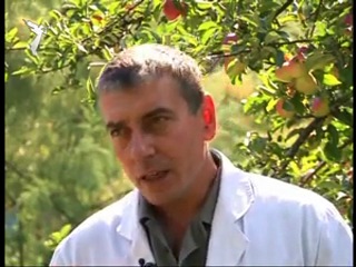 Солодкий дивосвіт (національний музей бджільництва)