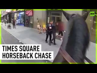 Alleged thief thinks he can outrun a horse he can't