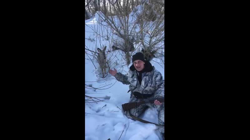 Общительная коза mp4