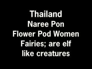 Thailand naree pon flower pod elf women fairies