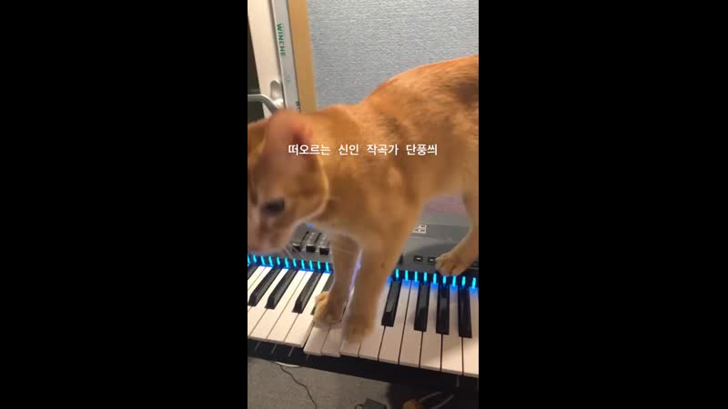 190328 ig stories update (kiff vinxen)