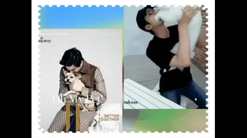 世勳vivi俊勉byul 勳勉 새준 hunho seho セジュン ซุบซิบฮุนโฮ