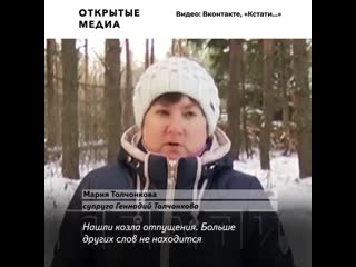 Нижегородцу грозит семь лет тюрьмы за сбор поваленных в лесу деревьев