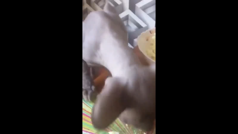 Христос воскрес