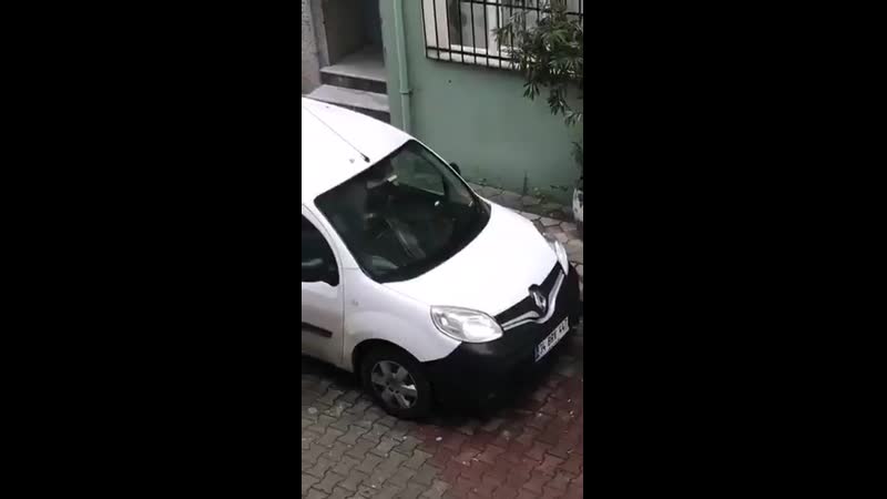 Arabada sakso çekerken yakalanıyorlar