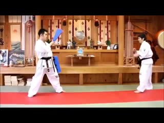 Kyokushin karate porn