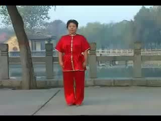 Wushu chang quan er duan (form 2)
