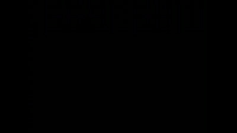 Возвращение блудного попугая 3 выпуск