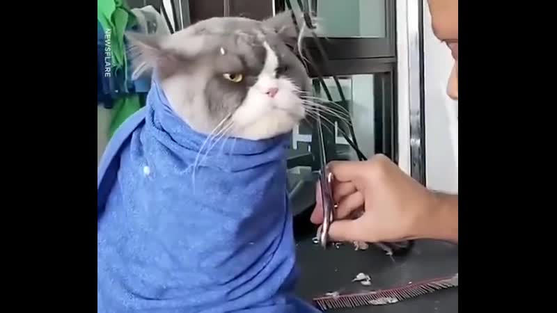 Недовольный клиент