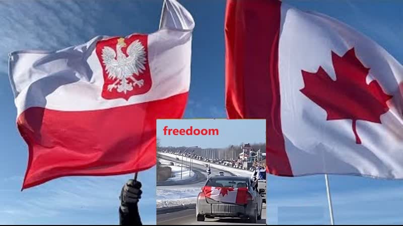 Tak wygląda radość ! konwój wolności kanada 🇵🇱 🇨🇦