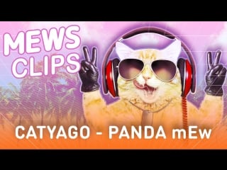 Mews clips | catyago – panda mew