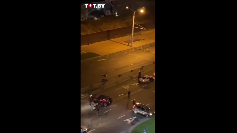 Карнікі напалі на аўта