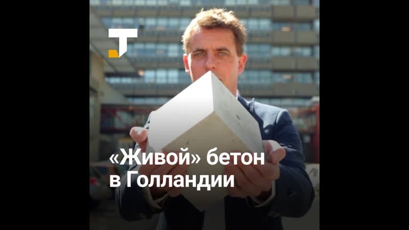 В голландии придумали «живой» бетон