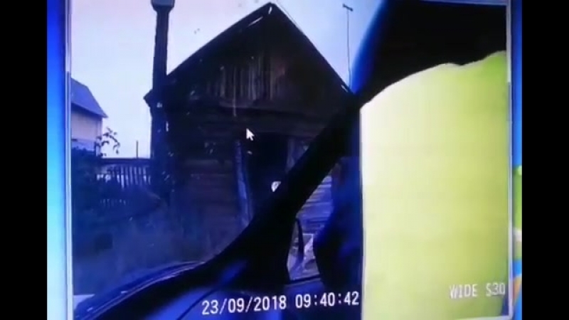 В усть куте полицейские застрелили медведя