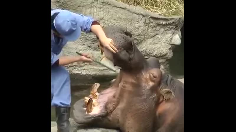 Ну открывай ротик малой, давай зубки почистим