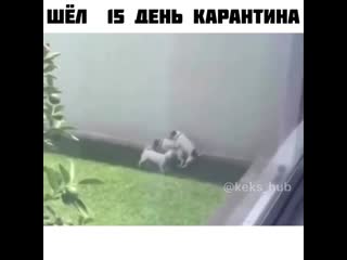 Keks hub 20200327 185237 0 mp4