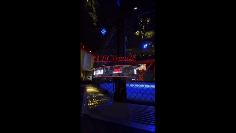 Розенстрайк vs сакаи