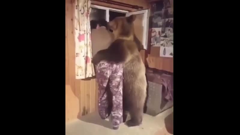 Мишаня в гости зашел