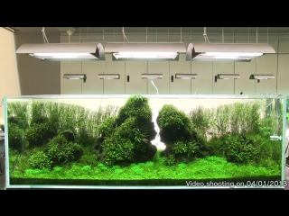 Ada follow up video of na gallery aquariums