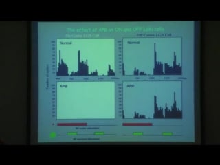 Sensory systems lec 4 the on and off channels 360р