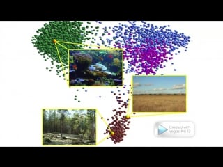 Ted как наши микробы делают нас теми, кто мы есть (роб найт)