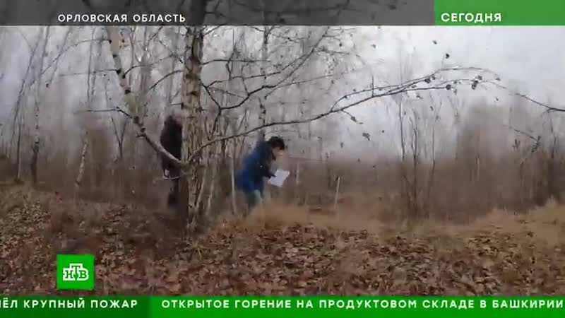 Тысячи многодетных семей платят налоги за непригодную для жизни землю