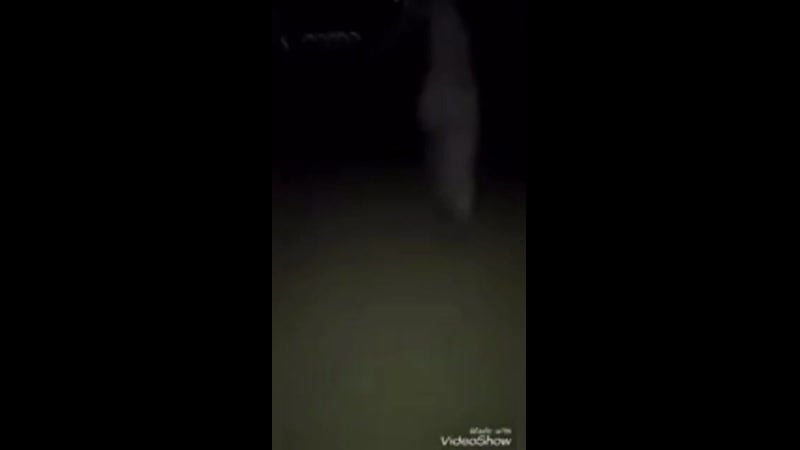 Это я, шамиль, дай присунуть gevisvideo